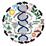 Epigenetica, geni e  stile di vita